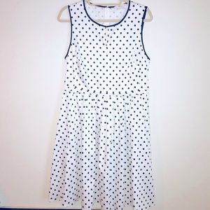Women Dark Blue Polka Dot Dress